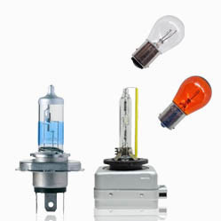 Category image for BULBS