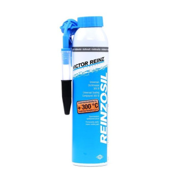 REINZOSIL AEROSOL 200 ML