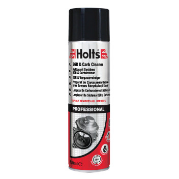 Holts Professional EGR & Carb Cleaner
