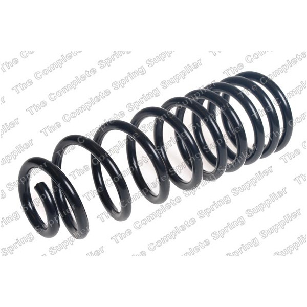 COIL SPRING REAR FORD image