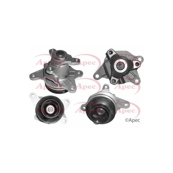 APEC WATER PUMP image