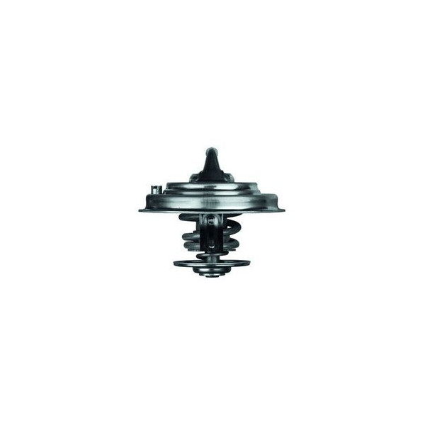 THERMOSTAT INSERT image