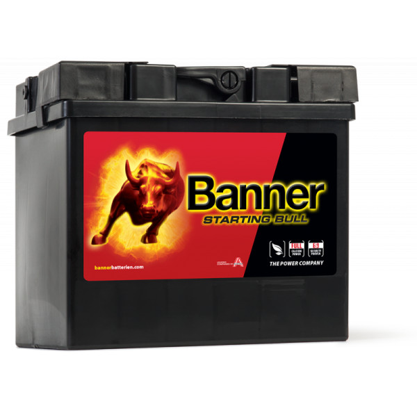 895 / 101 STARTING BULL OEM QUALITY BATTERY image