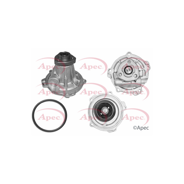 APEC WATER PUMP WO BACK HOUSING image
