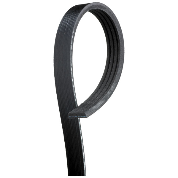 MICRO-V MULTI-RIB STRETCH FIT BELT image