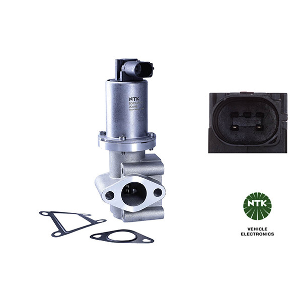 EGE2-D073 image