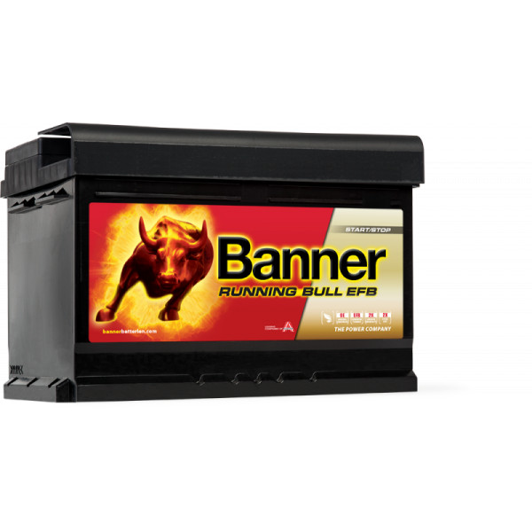 100 EFB BATTERY image