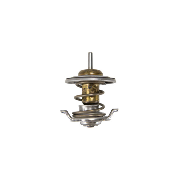 THERMOSTAT INTEGRAL image