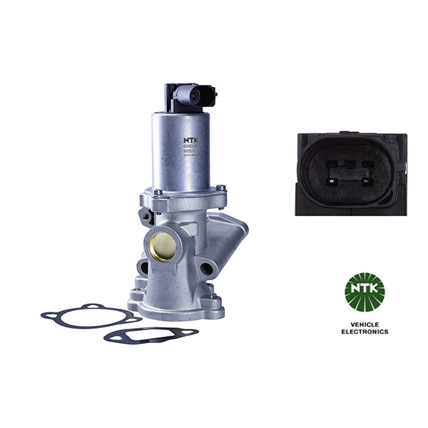 EGE2-D074 image