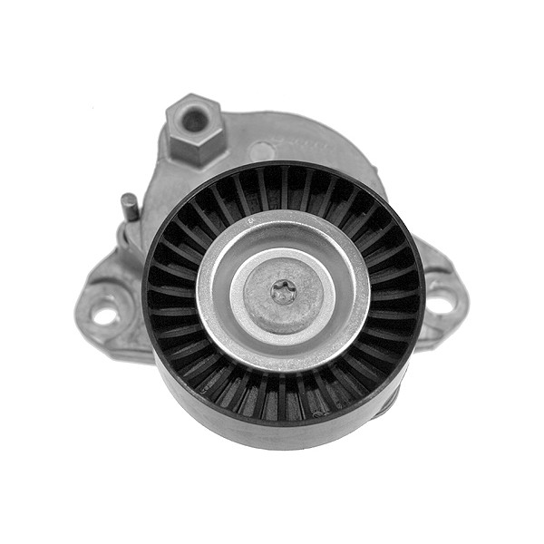 ABDS TENSIONER image