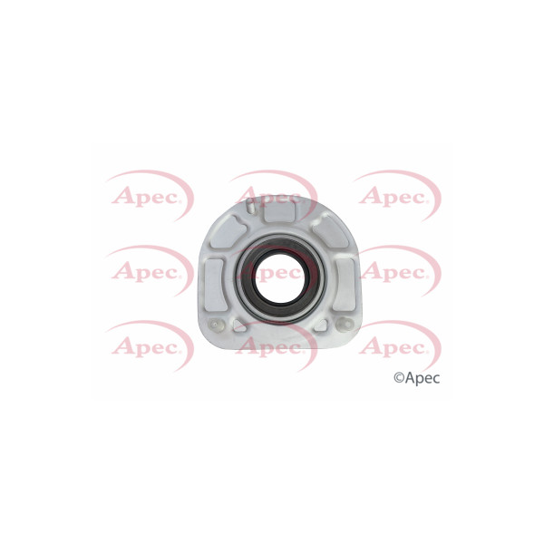 APEC TOP STRUT MOUNTING KIT image
