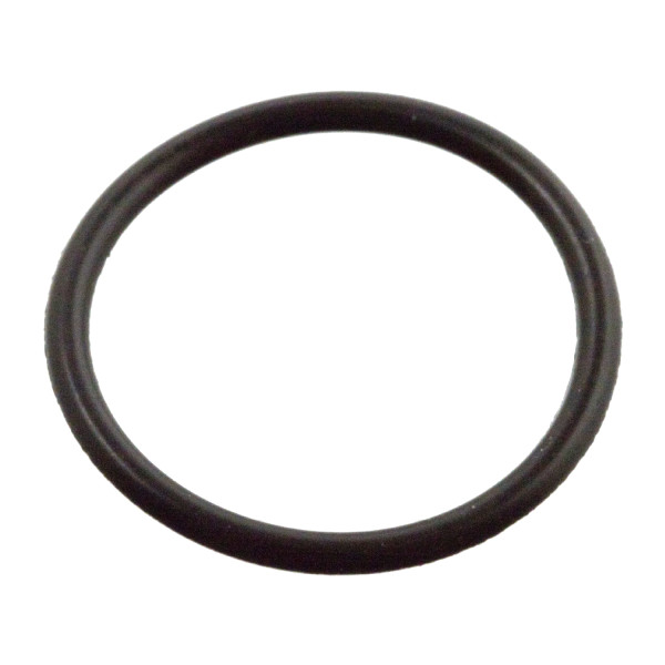 SEALING RING image