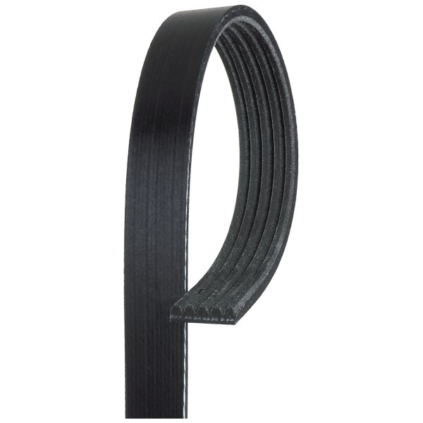 MICRO-V MULTI-RIBBED BELT image