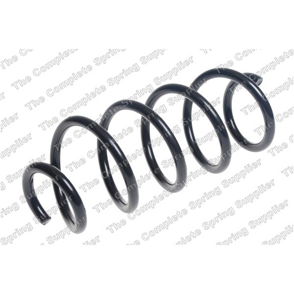 COIL SPRING REAR DACIA image