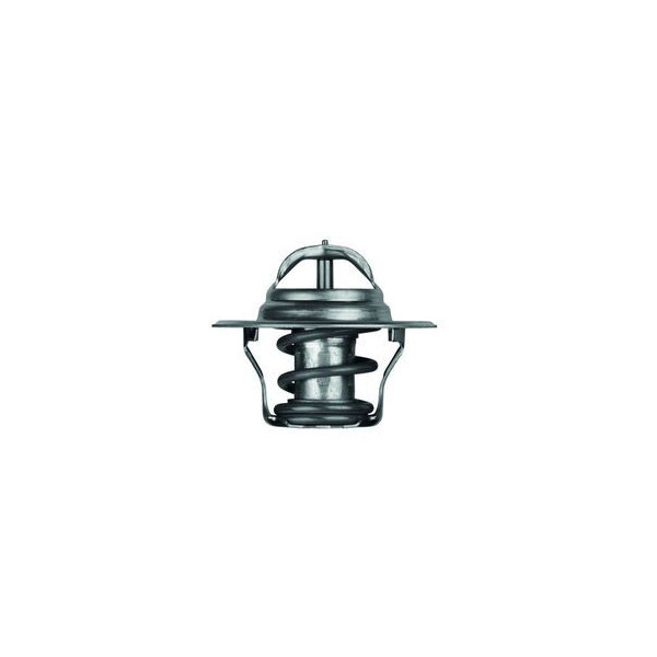 THERMOSTAT INSERT image