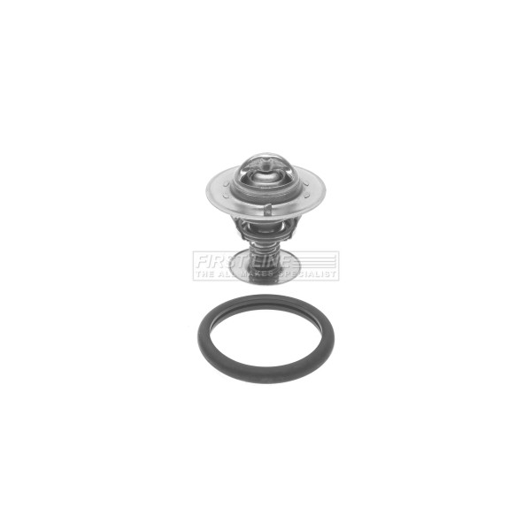 THERMOSTAT KIT image