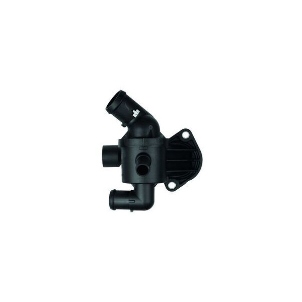 THERMOSTAT INTEGRAL image