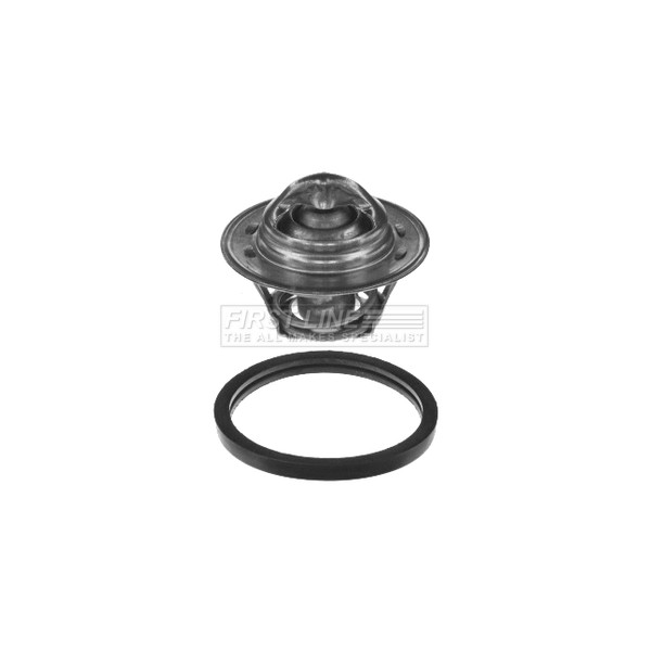THERMOSTAT KIT image