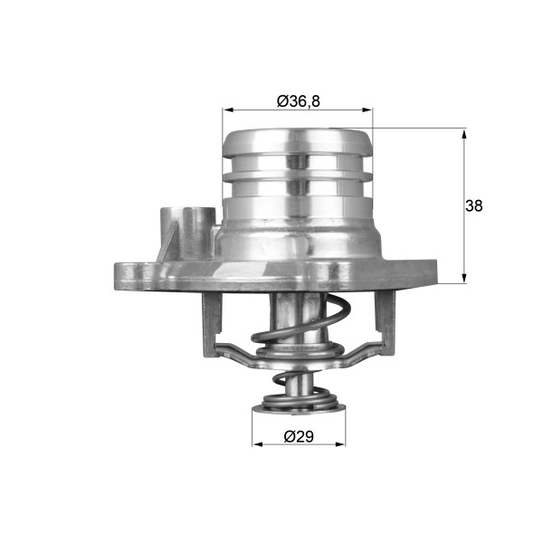 THERMOSTAT INTEGRAL image