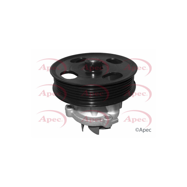APEC WATER PUMP image